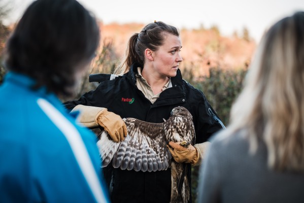 Evento de la estación de aves rapaces Berg am Irchel