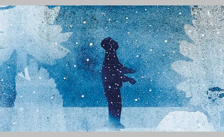 Der Schneeflockensammler