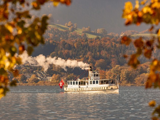 Tourist circuits DS « Spiez » departing from and arriving in Spiez