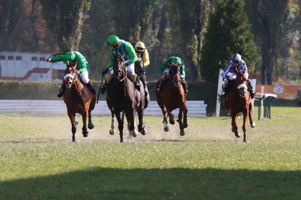 Carreras de caballos internacionales Maienfeld