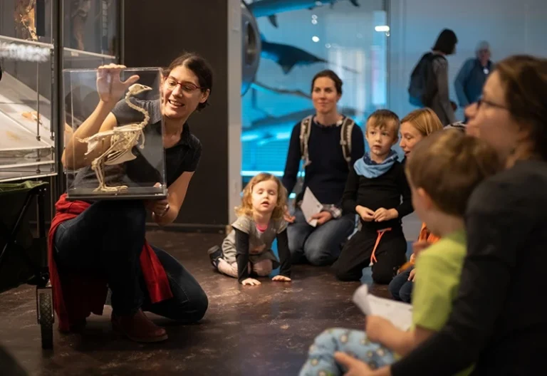 Talleres padres e hijos en el Museo de Historia Natural