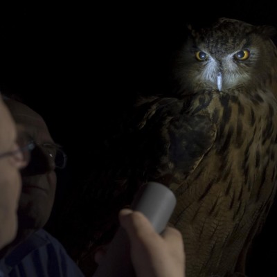 Public Tour: Wild Baselbiet. Tracking Animals and Plants