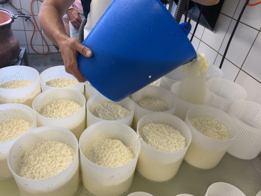 Making Cheese Yourself – Here's How!