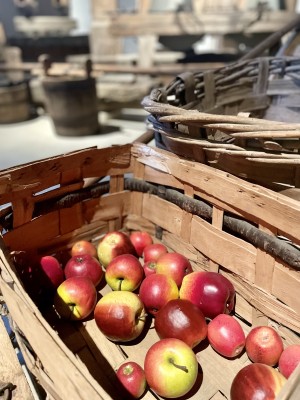 Apfel und Saft. Erlebnis zum Mitmachen & Geniessen