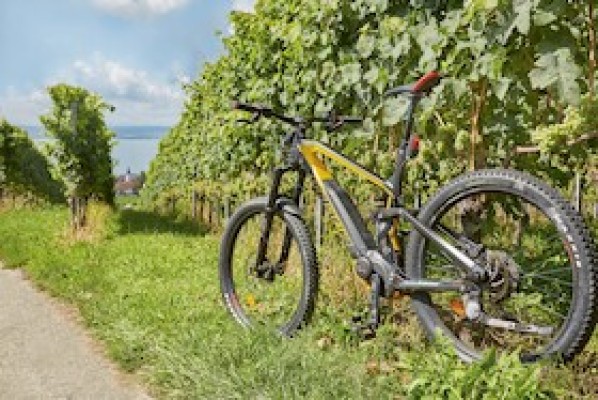 Thurgau Bike Tour with Napoleonturm - Full-Day Tour