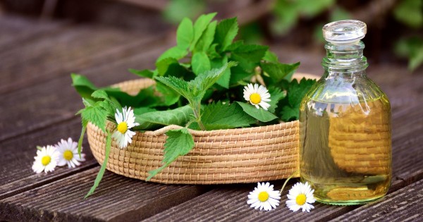 Herbal course "Using the power of roots correctly in autumn" in the log cabin