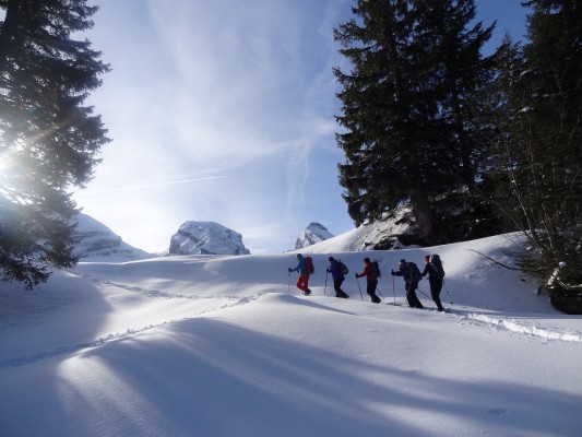 Day Snowshoe Tour Toggenburg