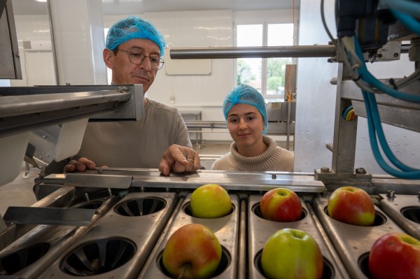 Öpfelfarm – From Fruit to Ringli