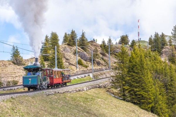 TRAIN A VAPOR LOC 7 | SALIDA DESDE GOLDAU
