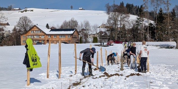 Nature Connects – Planting in Waldstatt