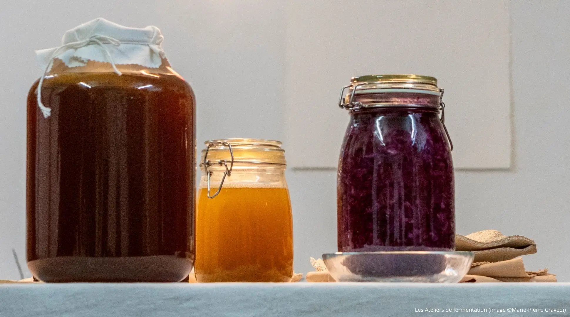 Iniciación a la lactofermentación: chucrut y kimchi