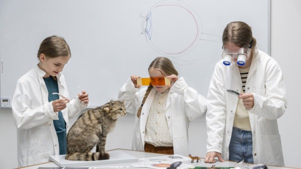 Eyes like an eagle, blind as a mole: seeing in the animal kingdom