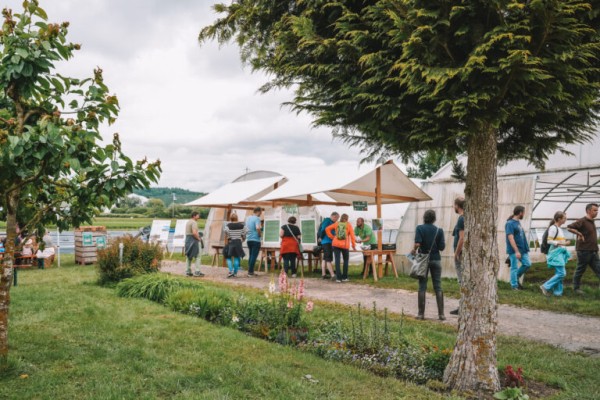 Bio-Days – Gmüestag + Festival