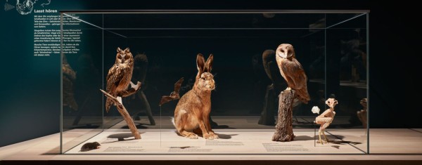 Schauplatz Natur – Birds, Mammals & Minerals of Switzerland