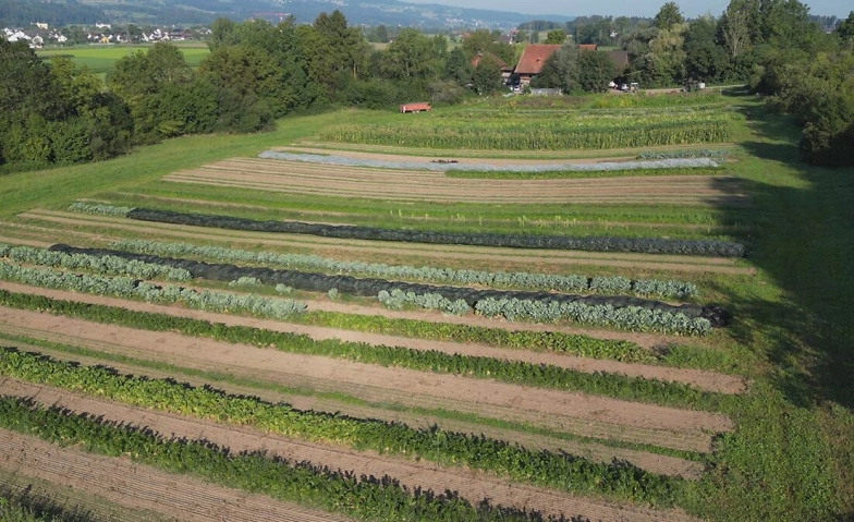 Dokumentarfilm Slow Grow- der Boden lebt