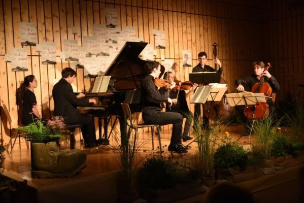 Festival du Toûno