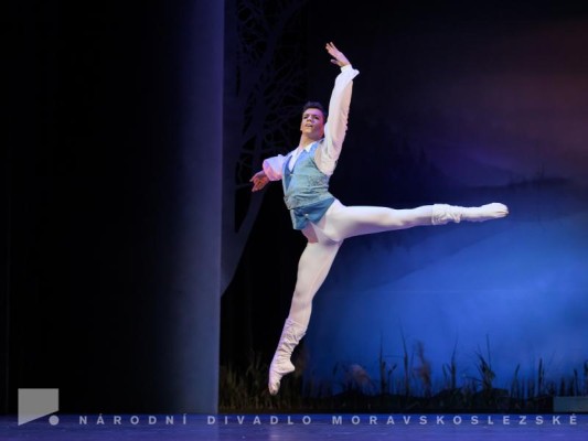 Swan Lake