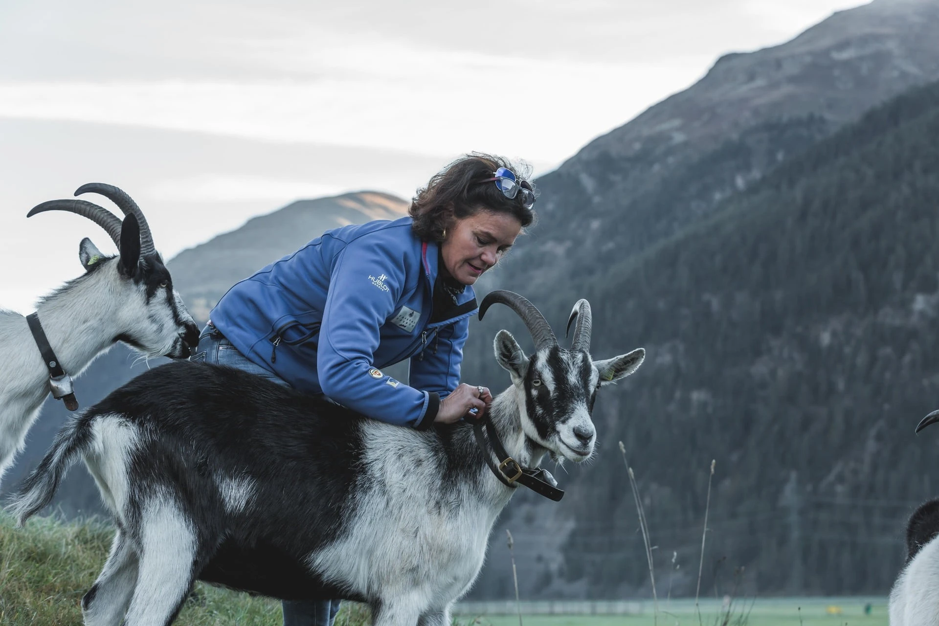 Geissenerlebnis: Trekking with Picnic or Outdoor Glacier Fondue