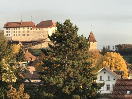 Castle Openings Laupen