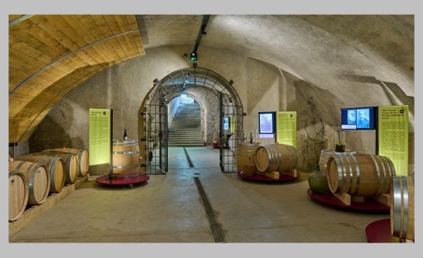 Ausstellung: 2000 Jahre Wein auf Arenenberg
