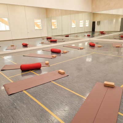 Hatha Yoga Course in Zug