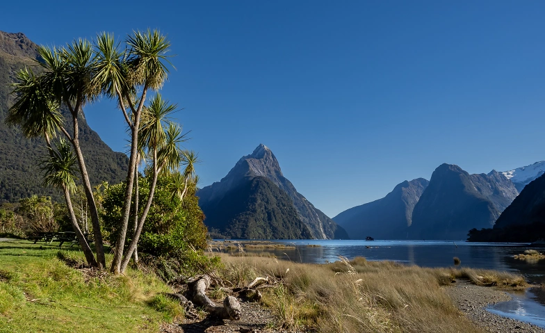 Multivision Neuseeland