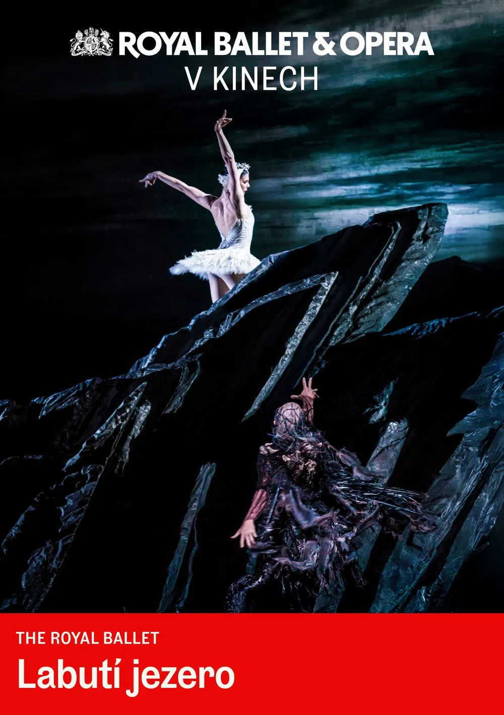 Swan Lake 2D/T
