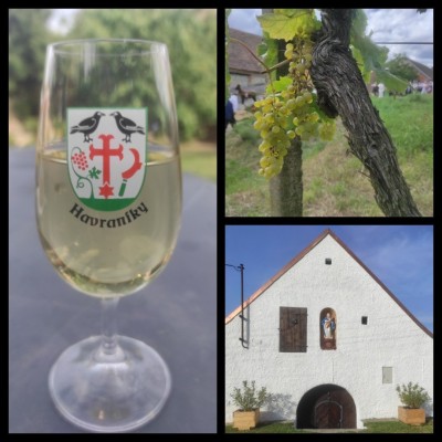 Vinařská pohotovost Havraníky