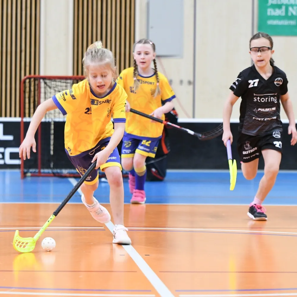Floorball tournament – Juniors’ league