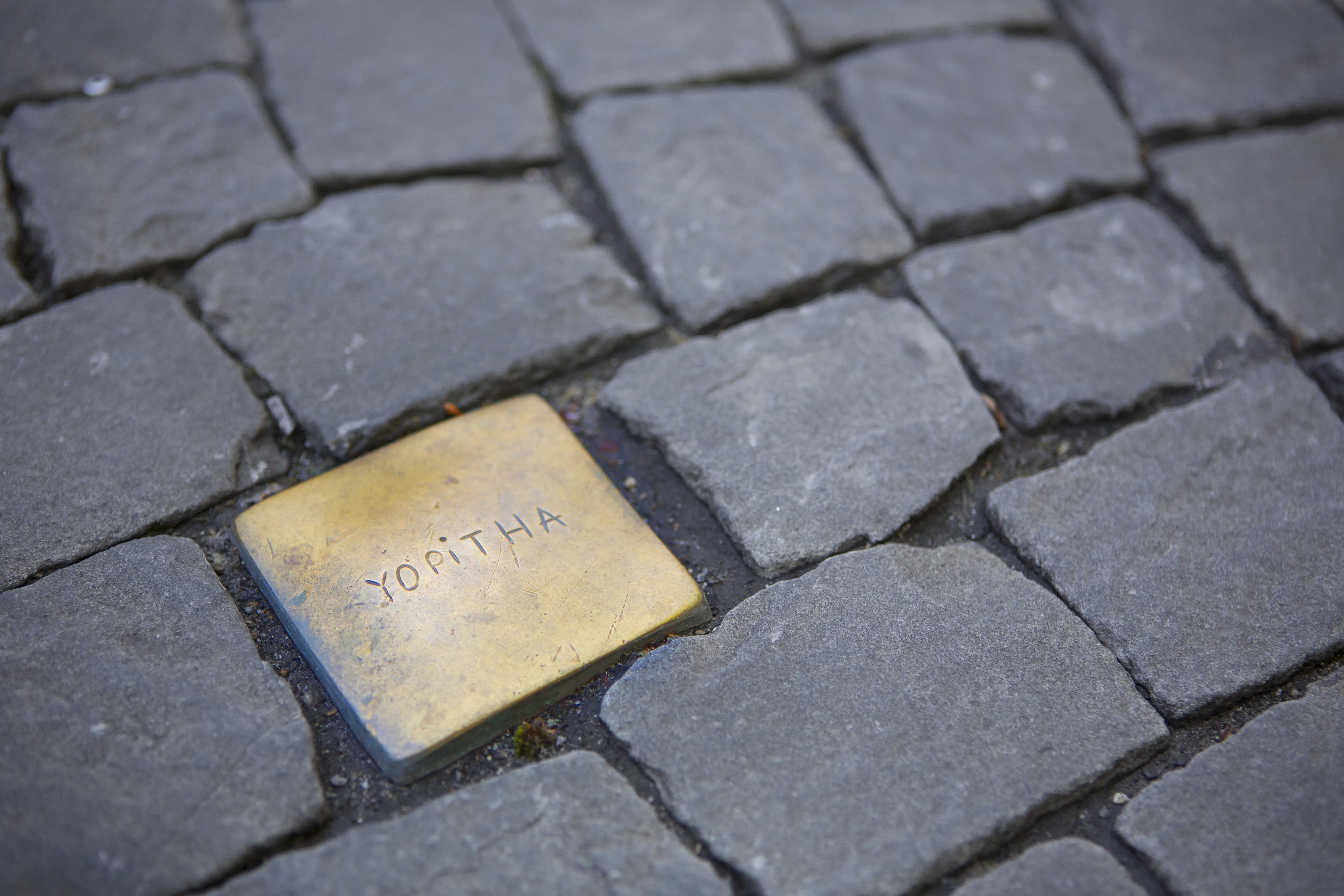 Silver Paving Stones Hunt