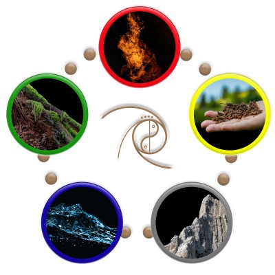 "Im Element" - Fühle die 5 Elemente in der Natur und Dir