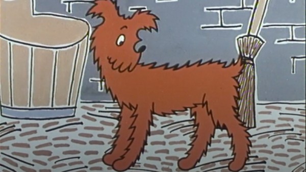 Animal Stories