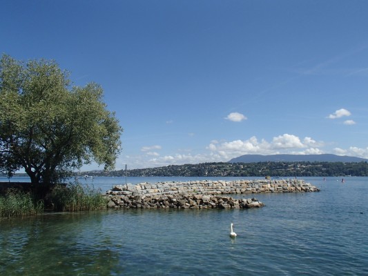 Landscape reading and history of Lake Geneva on a walk along the lake