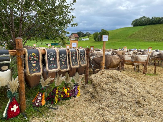 Exposition bovine de Walzenhausen