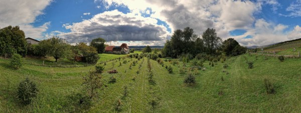 Bonvillars: Didaktisches Trüffelfeld