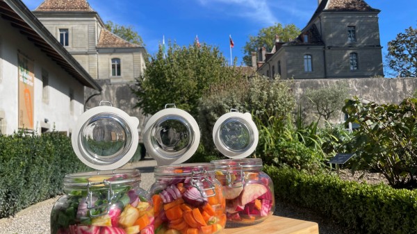 Lactofermentation