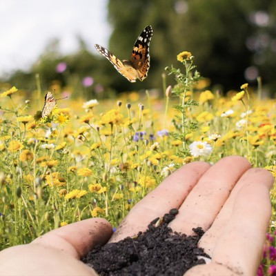 From Carbon to Biodiversity