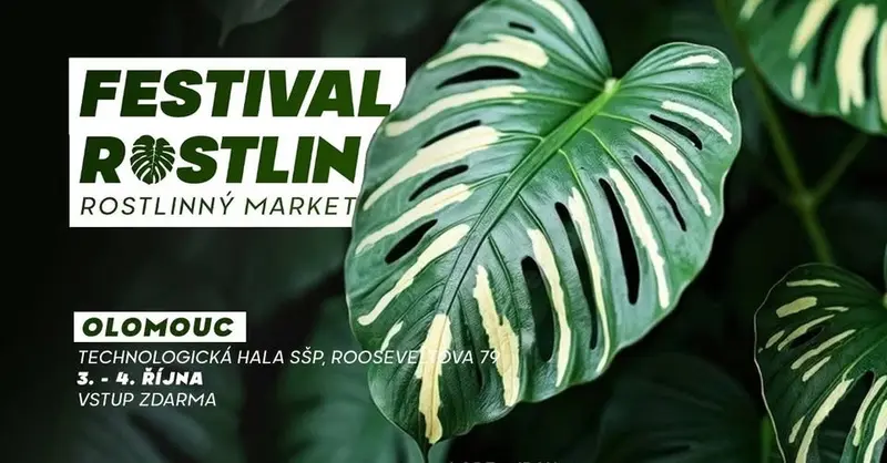 Festival Rostlin