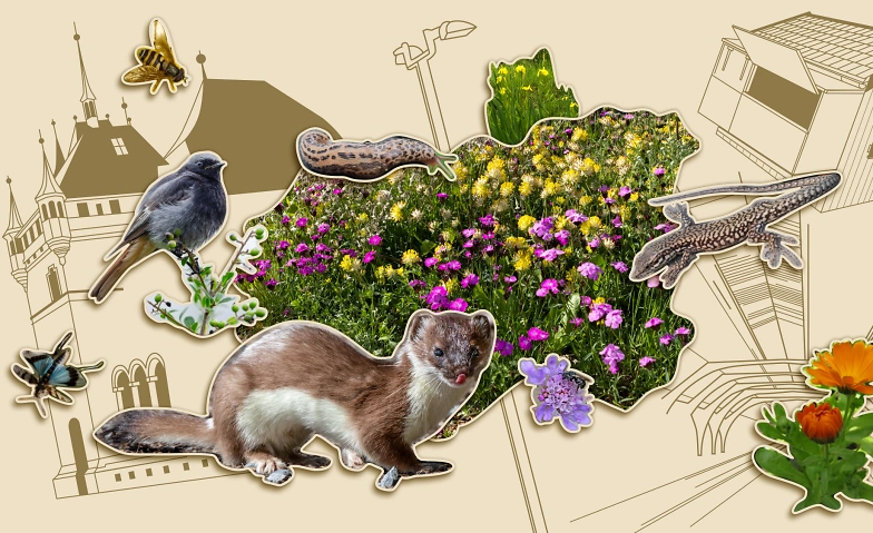 Ausstellung: Vernetzte Natur – Lebenswerte Stadt
