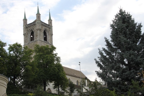 Visita guiada gratuita de la iglesia St-Martin de Vevey