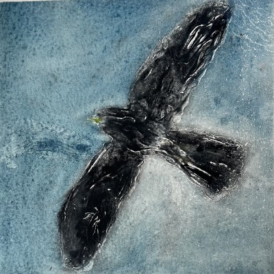 États de nature - Exposición de Patricia Maisch