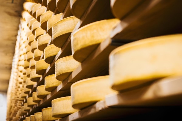Open Day – 50 Years Cheese Maturation Warehouse Saanenland AG