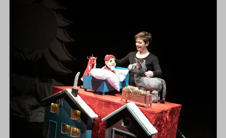 ¡Samichlaus gsuecht!