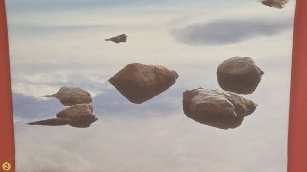 Ausstellung «Augenblicke in der Natur II»