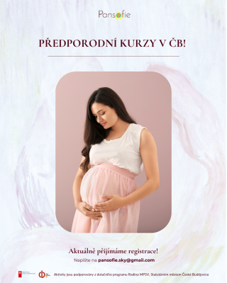 CURSO PRENATAL: "Todo sobre el parto y después. Además de BONOS exclusivos"