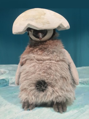 Pit Pinguin (a partir de 3 años)