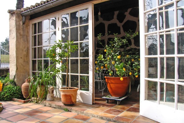 Workshop: Overwintering Mediterranean Plants