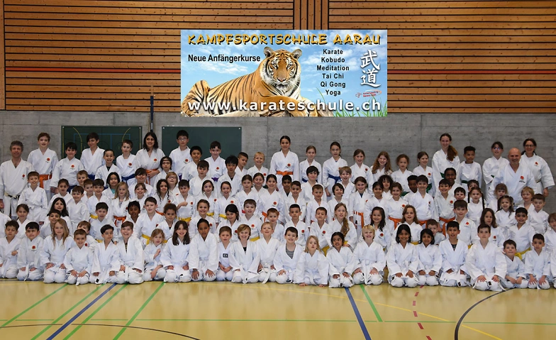 Probetraining Karate Aarau Kinder