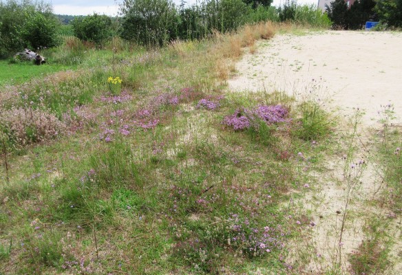 "Expedition to the Campus" - Naturwanderung