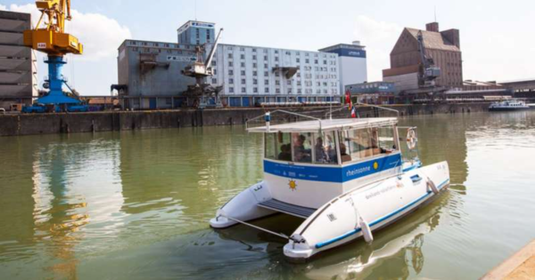 Harbor Tours